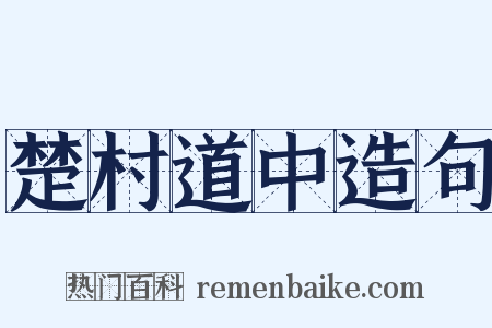 楚村道中造句是什么意思的图片
